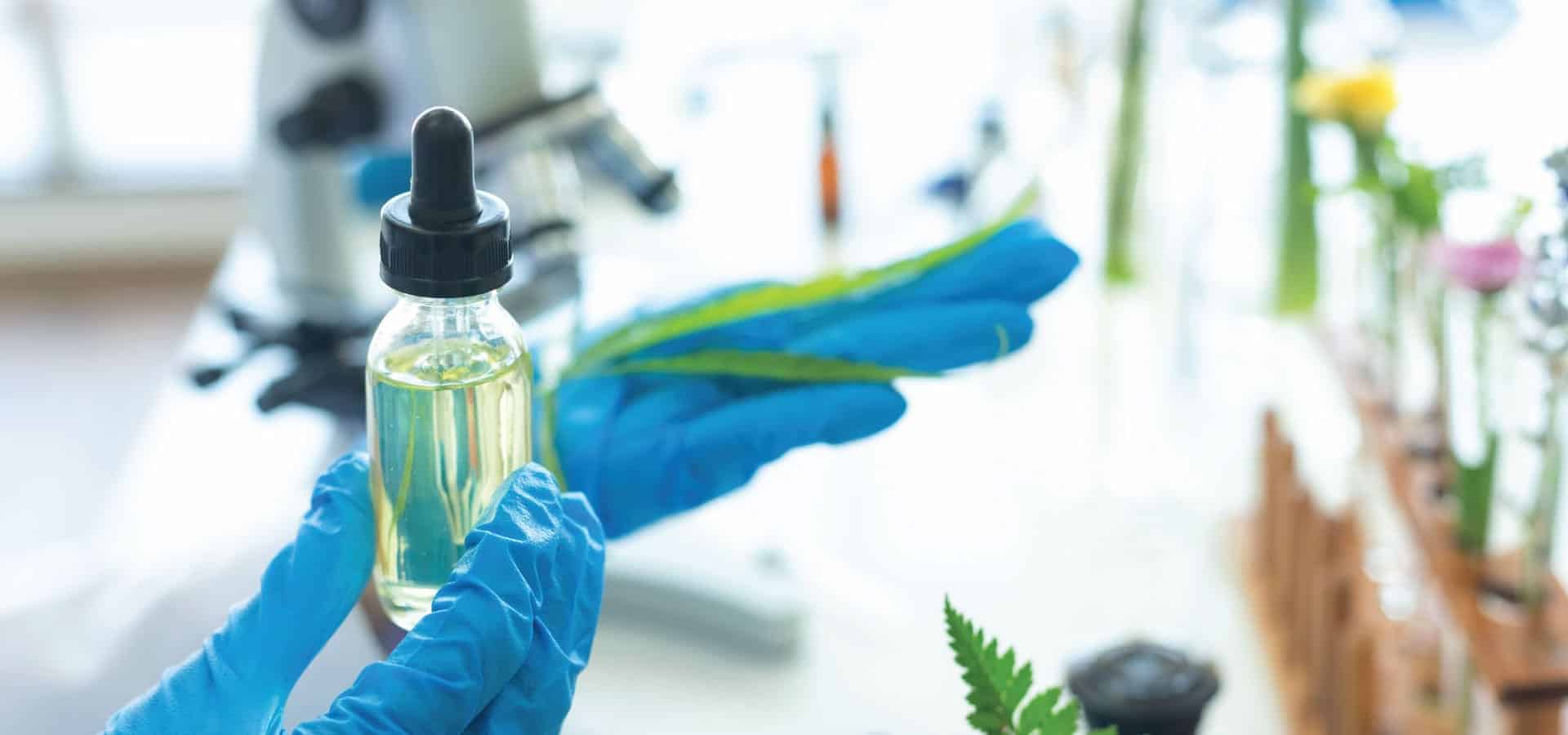 lab