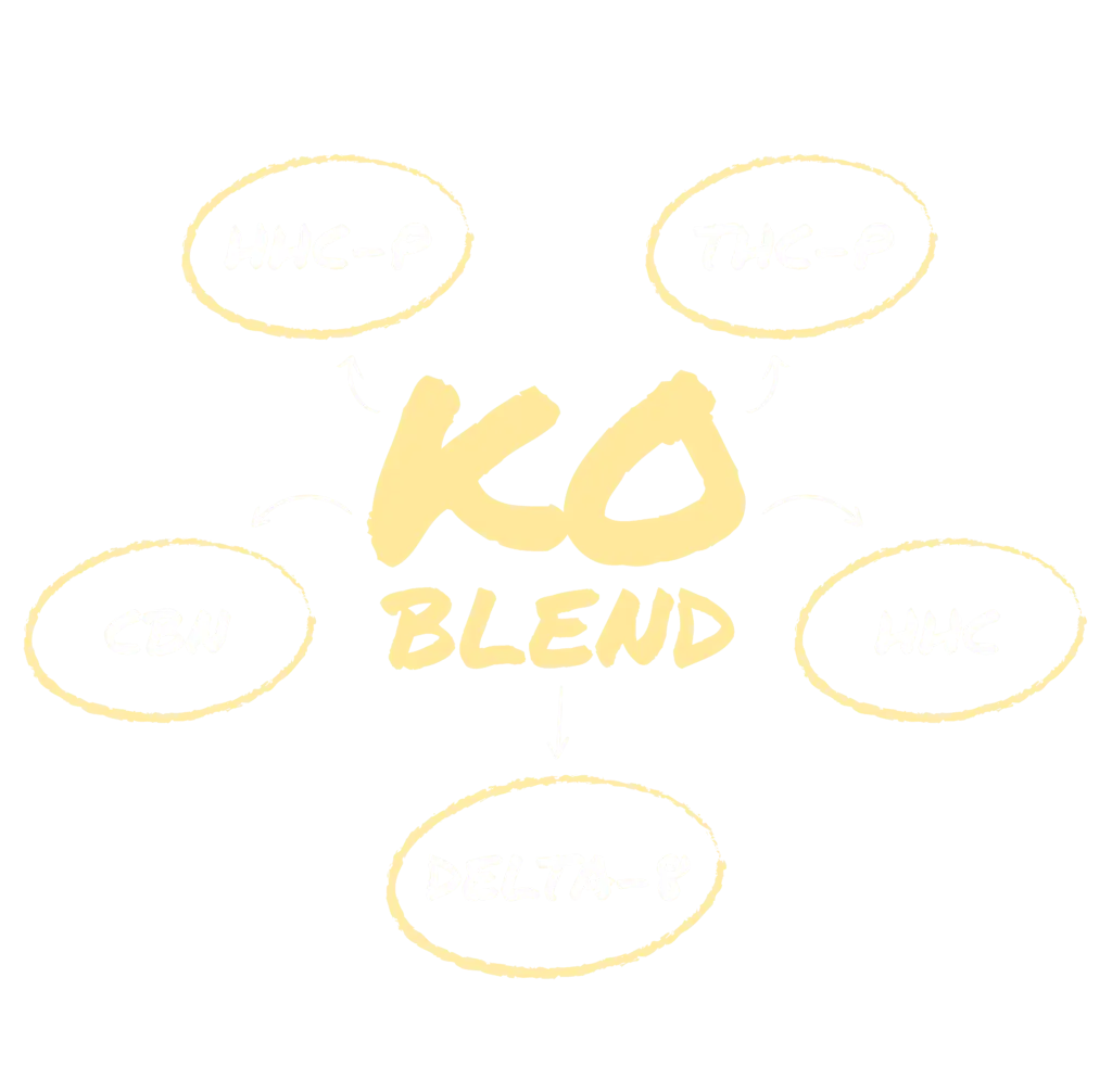 KO-Blend-Large